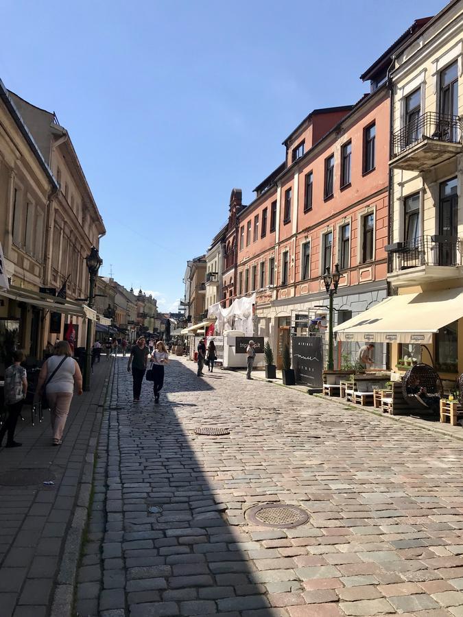 Kaunas Old Town Apartment Εξωτερικό φωτογραφία